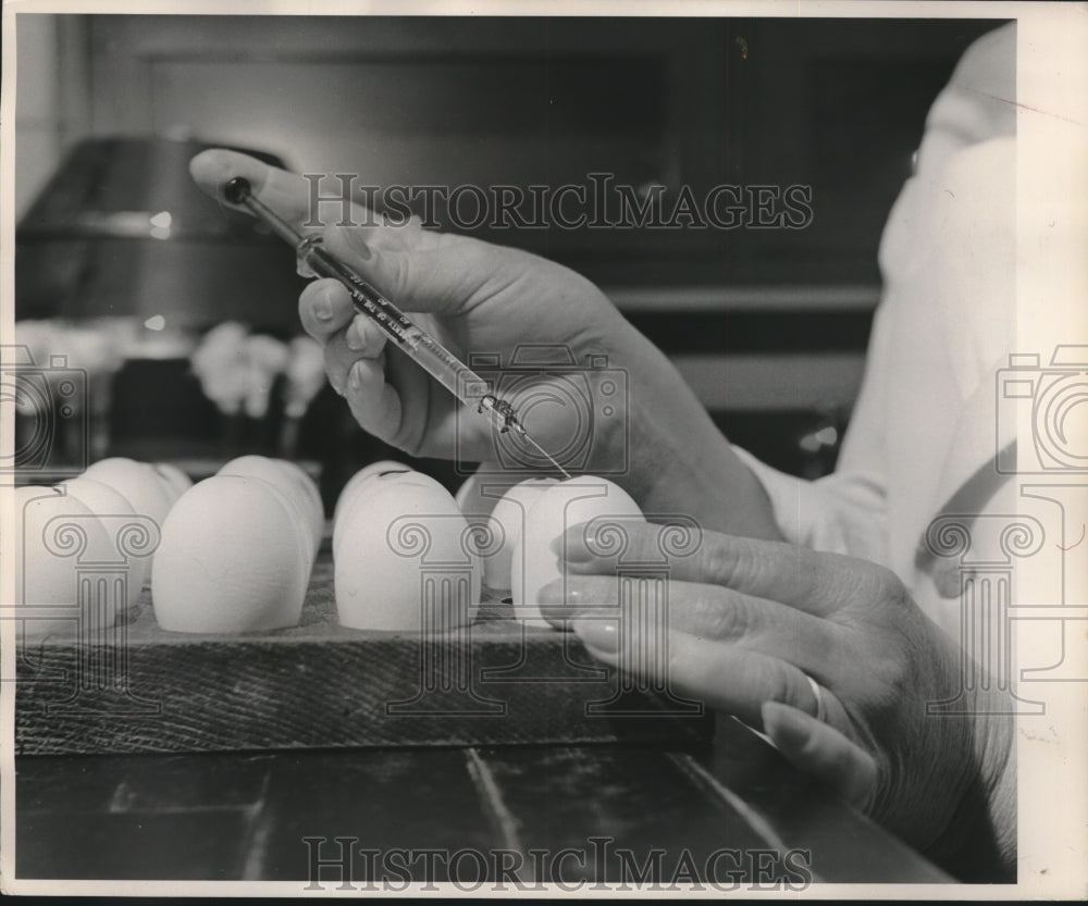 1955 Press Photo Technician inoculates eggs with flu virus - mjc00843 - Historic Images