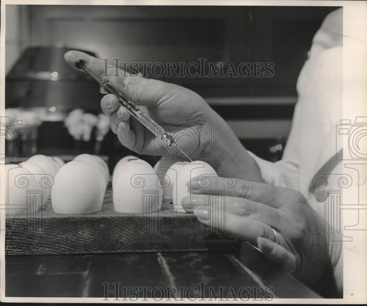 1955 Press Photo Technician inoculates eggs with flu virus - mjc00843 - Historic Images