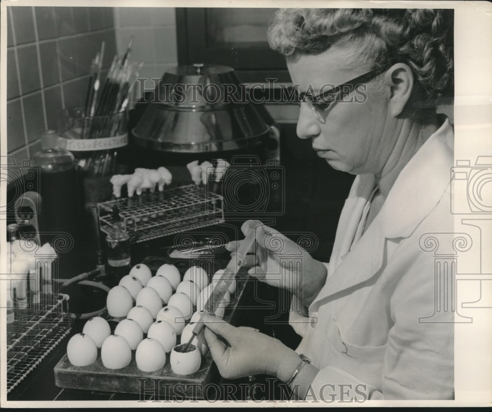 1955 Press Photo Mrs. Virginia Gill "harvests" embryonic fluid for flu vaccine - Historic Images