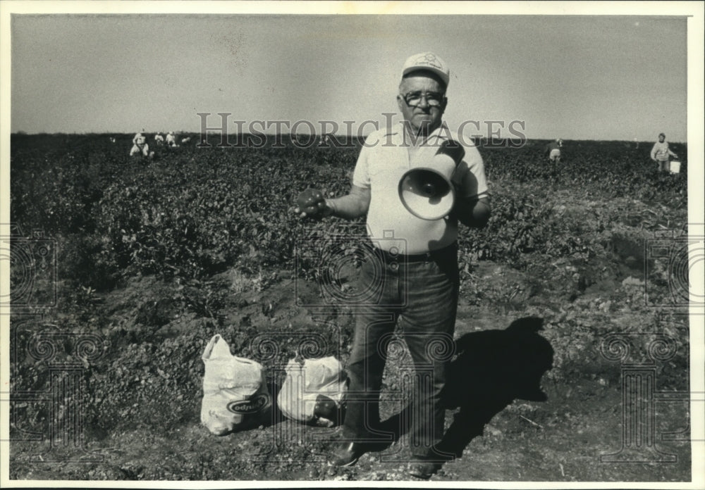 1992 Press Photo Art Schoerner, McAllen Texas stands in field to pick vegetables - Historic Images