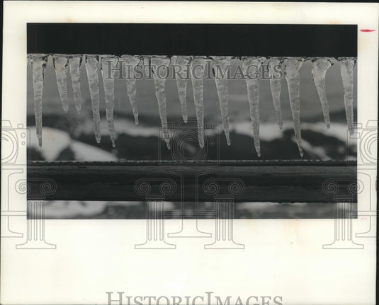1983 Press Photo Icicles are January's jewels - mjc01254 - Historic Images