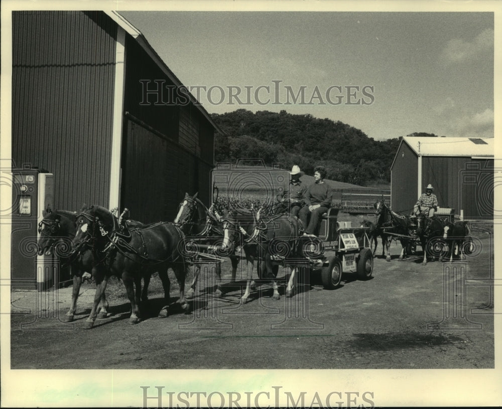 1984, Bernard, Alice Jorstad, wagon pulled by draft horses, Chaseburg - Historic Images