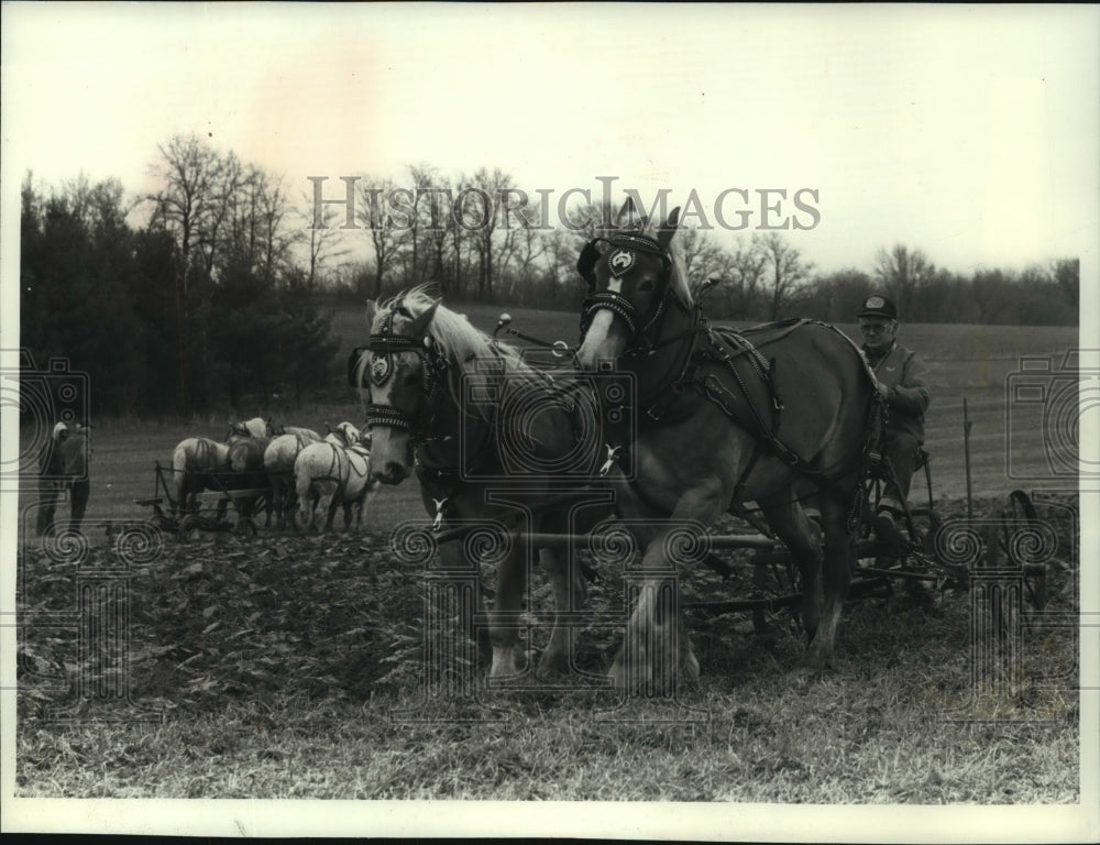 1990 Horses pull tractor, Draft Horse & Mule Association, Field Day - Historic Images