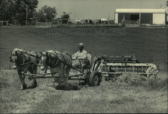 1983, Bill Peppler, raking machine pulled by draft horses, Waukesha - Historic Images
