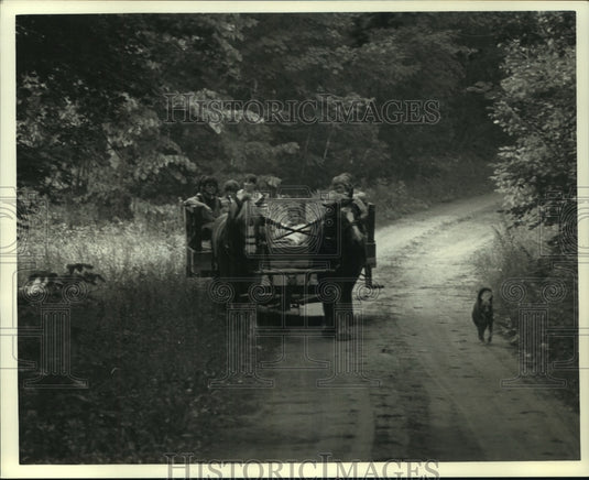 1990 Press Photo Dog and work horses take visitors on a Glacial Wilderness Tour. - Historic Images