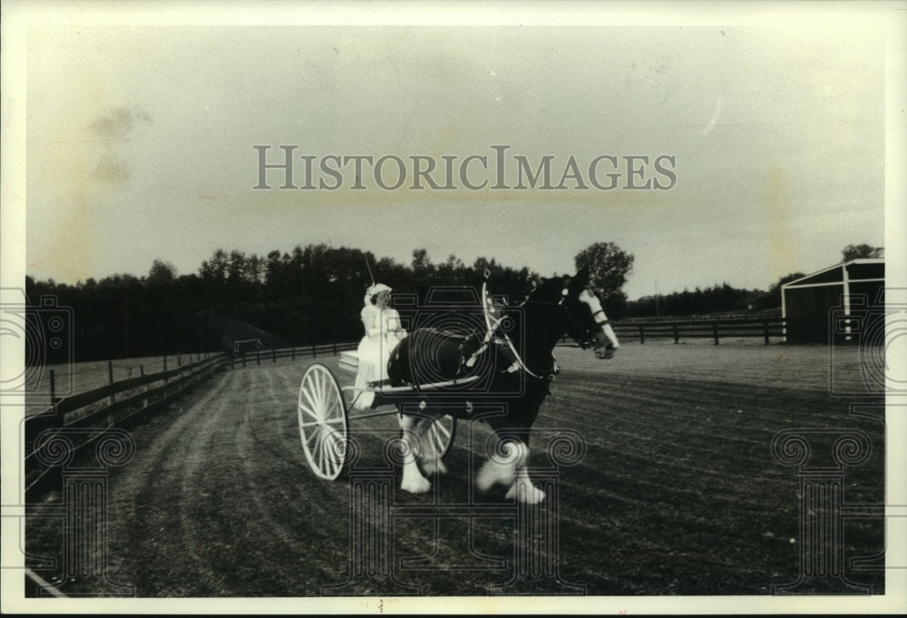 1994, Nancy Bielke drives Big John around farm&#39;s show ring in cart. - Historic Images