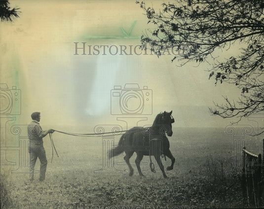 1984, Dwight Hosey works horse before drive at Old World Wisconsin. - Historic Images
