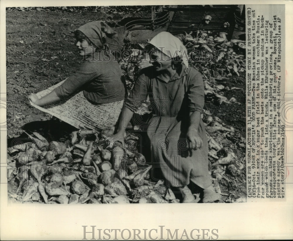 1963 Press Photo Russian women work sugar beet field in Kuban, southern Russia - Historic Images