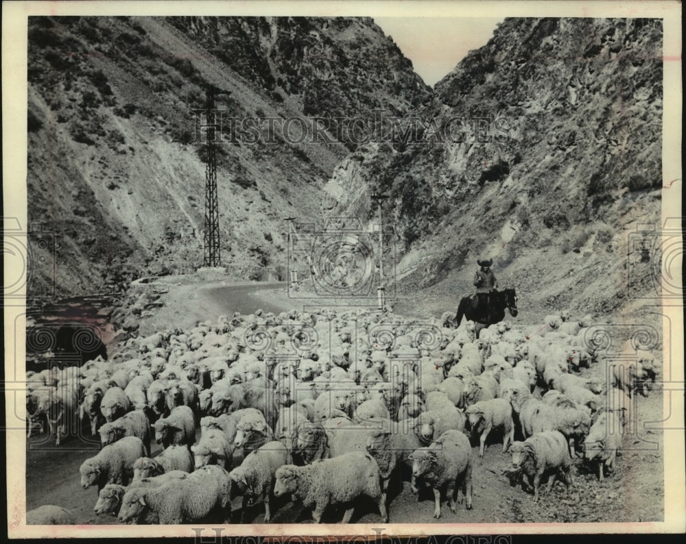 1965 Press Photo A shepherd, traveling along a winding valley road in Russia - Historic Images