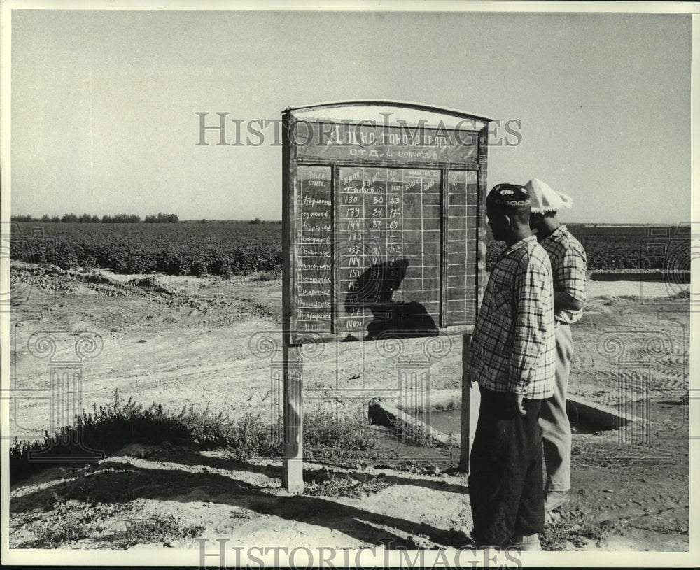 1964 Press Photo Workers look at production board,&quot;Kolkhoz&quot; farm, Hungry Steppe. - Historic Images