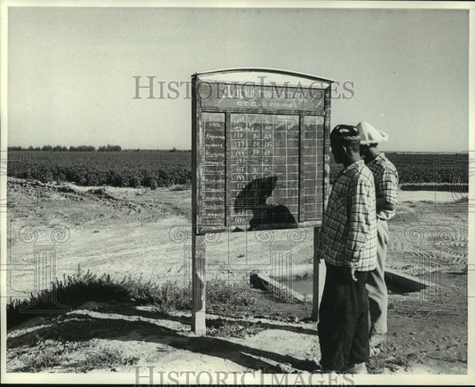 1964 Press Photo Workers look at production board,"Kolkhoz" farm, Hungry Steppe. - Historic Images