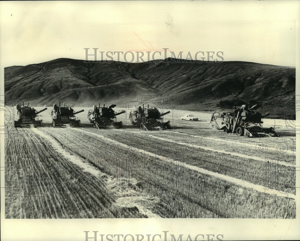 1975 Press Photo Combines harvesting grain, Chitinskya Oblast, Soviet Union-Historic Images