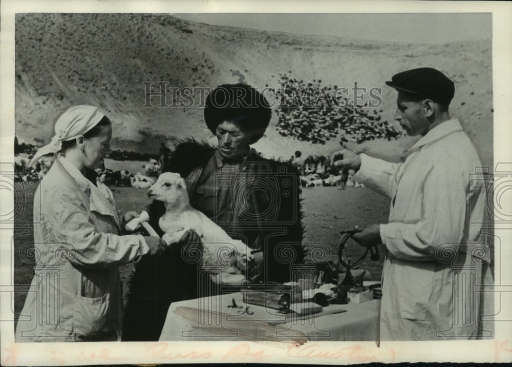 1951, Veterinarian cares for young lamb as owners look on, Daghestan - Historic Images