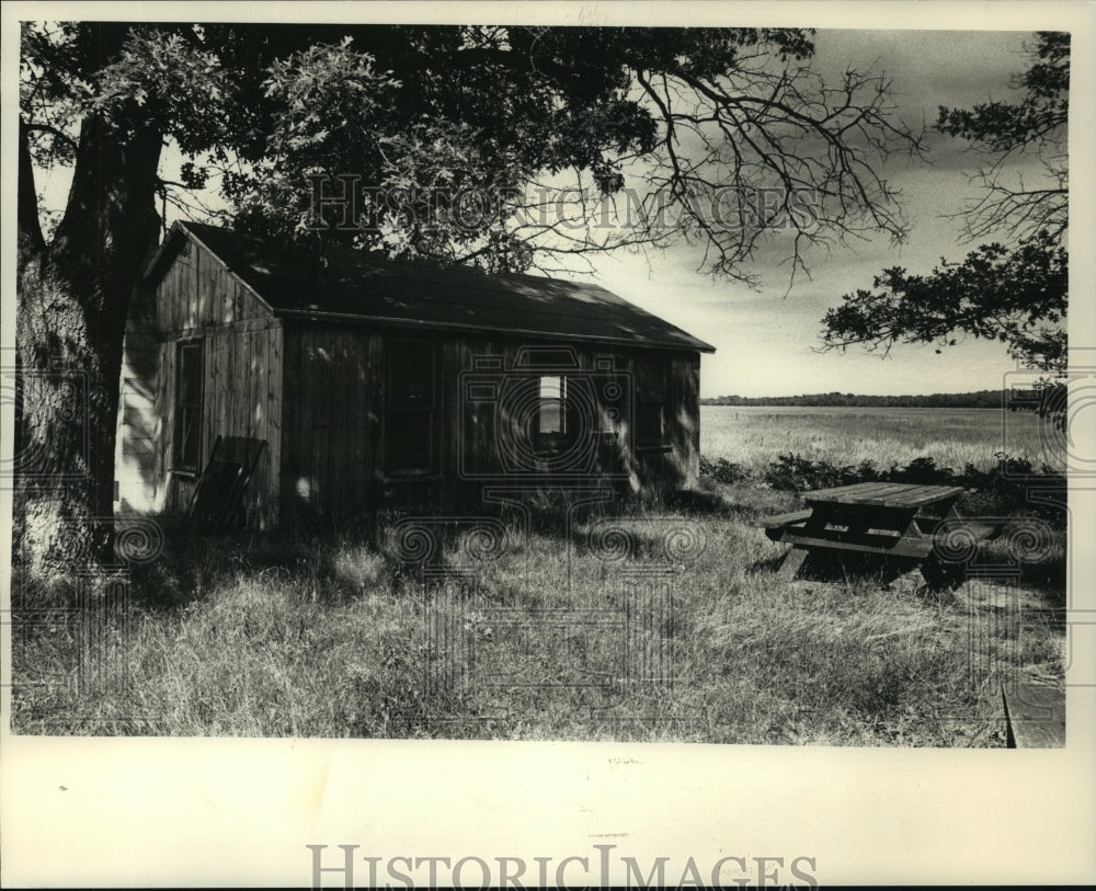 1991, Wallace Grange&#39;s cabin Sandhill Wildlife Area. - mjc02080 - Historic Images