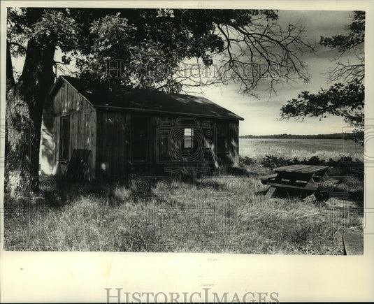 1991, Wallace Grange's cabin Sandhill Wildlife Area. - mjc02080 - Historic Images