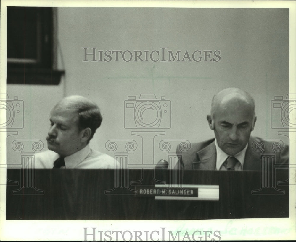 1982 Press Photo Aldermen Robin Irwin and Harold Schoesssow of Mequon Wisconsin - Historic Images