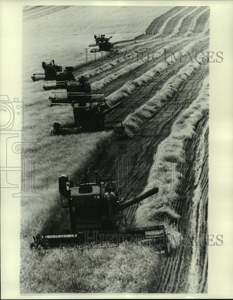 1976 Group Harvesters Being Used to Collect Grain in Bashkir A.S.S.R - Historic Images