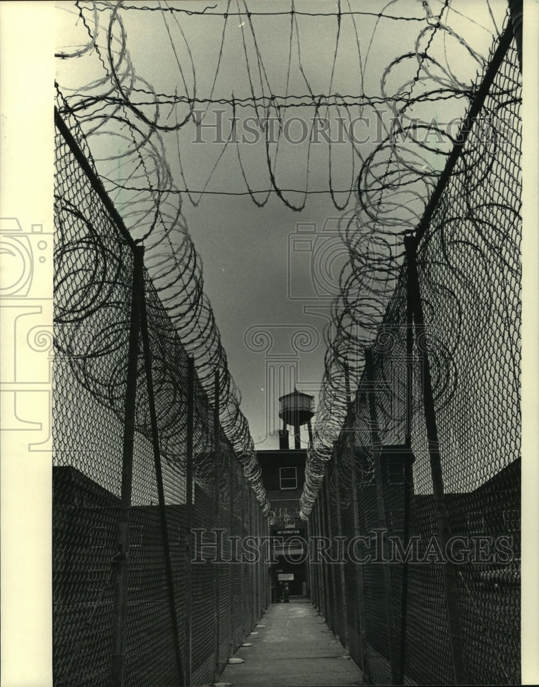 1984 Press Photo Concertina wire line at the House of Correction in Franklin - Historic Images