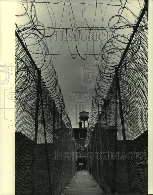 1984 Press Photo Concertina wire line at the House of Correction in Franklin - Historic Images