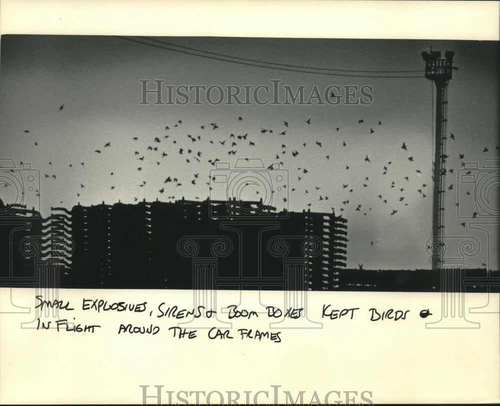 1986 Starlings In Flight After Sirens Above A.O. Smith Corp. - Historic Images