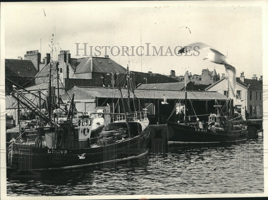 1973 Press Photo Ships in the harbor of Lerwick, Scottish Shetland Isles - Historic Images