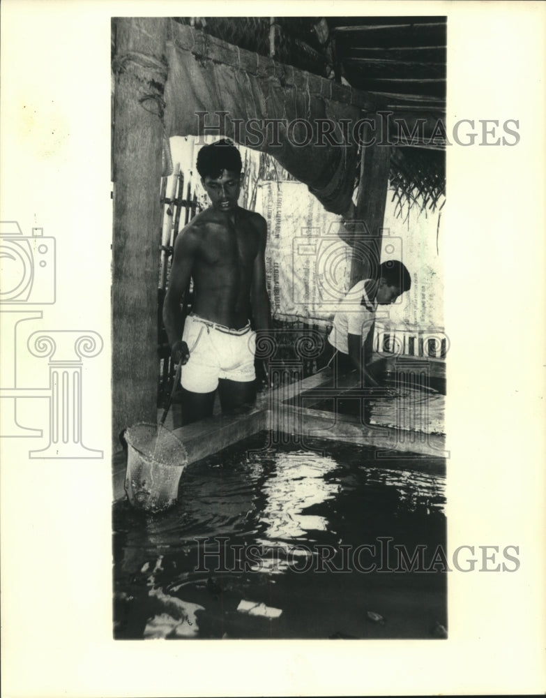 1987 Press Photo Hatchery employees checked turtle tanks in Sri Lanka - Historic Images