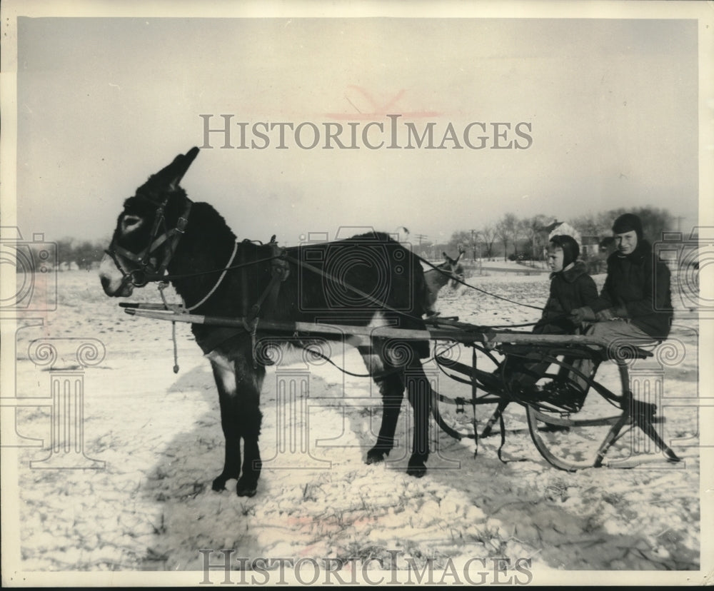 1952 Press Photo Krieger brothers of Millard try to coax donkey on sleigh ride- Historic Images