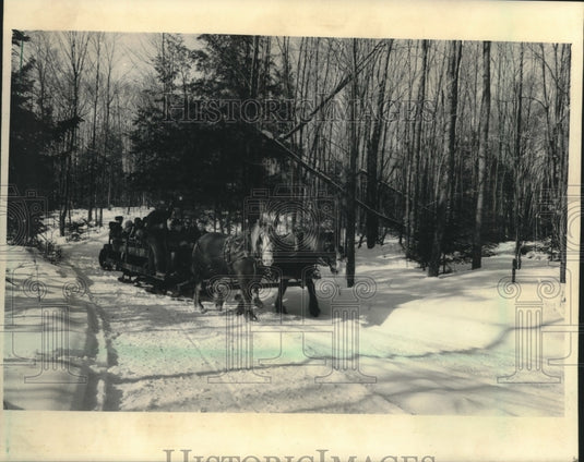 1985 Paul Renn drives his sleigh on the road in the Town of Harrison - Historic Images