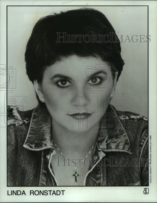 1980 Press Photo Linda Ronstadt, singer - mjc05806 - Historic Images