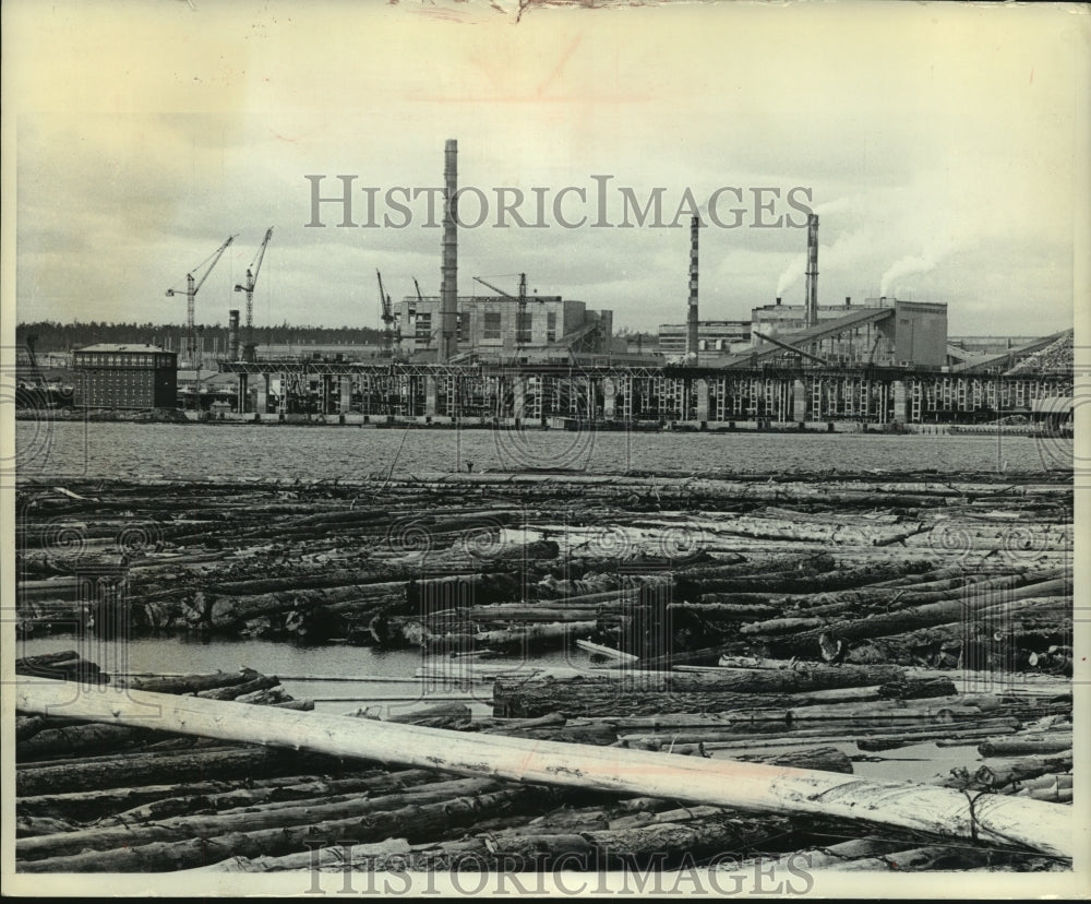 1969, Logs Float in Reservoir in Front of Bratsk Lumber Mill, Russia - Historic Images