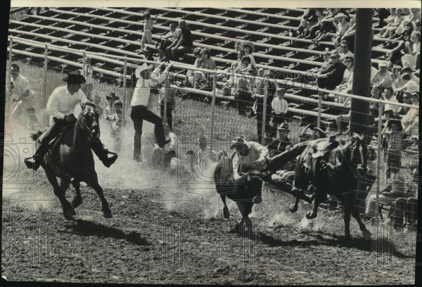 1963 Press Photo Cowboys Wrestle Steer at the Wonago Rodeo in Wisconsi ...