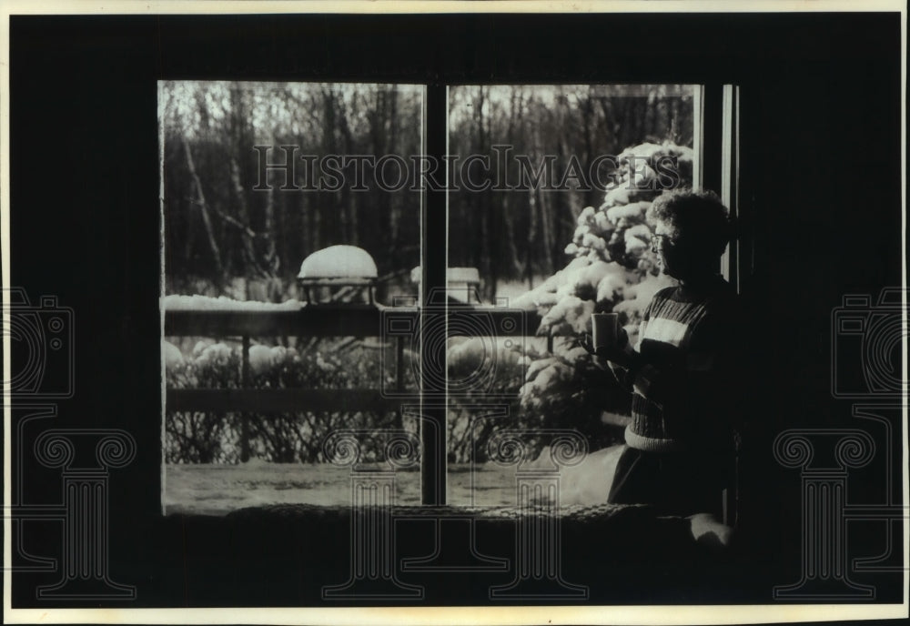 1994 Press Photo Nancy Stevenson at her Birdhouse, Stevens Point, Wisconsin - Historic Images