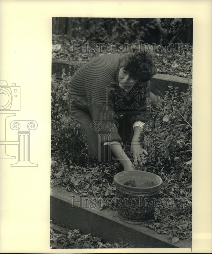 1986 Press Photo Wisconsin governors wife Sue Ann Thompson in garden - mjc07335 - Historic Images