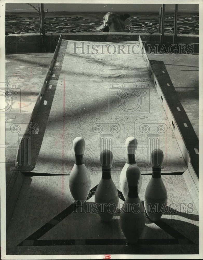 1962, Porpoise, Flippy, has ball to bowl on a 19 foot alley. - Historic Images
