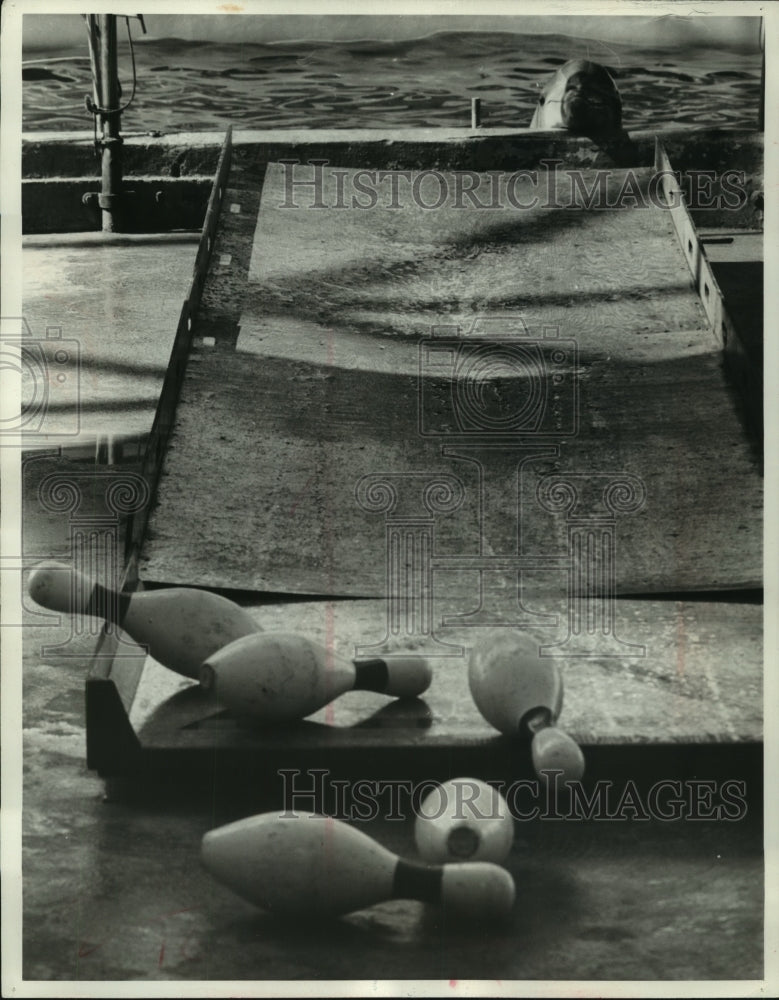 1962 Press Photo Flippy, the porpoise - mjc07654 - Historic Images