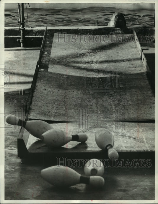 1962 Press Photo Flippy, the porpoise - mjc07654 - Historic Images