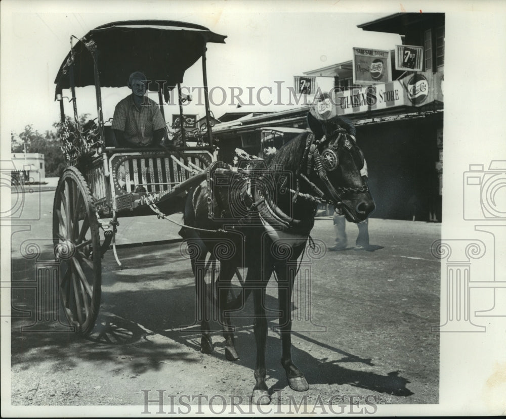1959 Press Photo Small horses pull two wheeled surrey's in Manila, Philippines - Historic Images