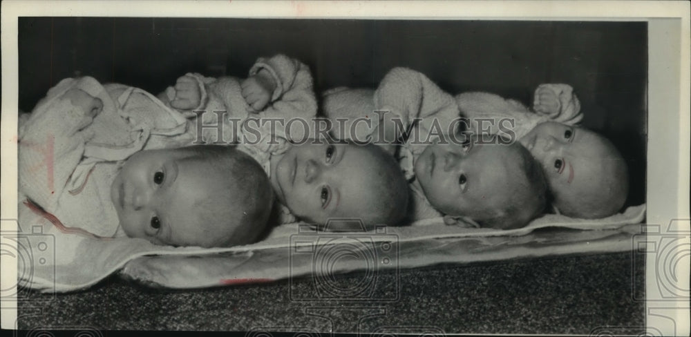 1959 Press Photo Lautenbach quadruplets doing fine at home, Deinum, Netherlands - Historic Images