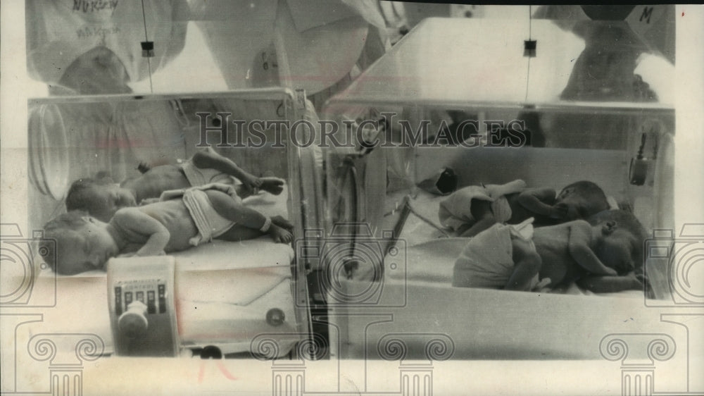 1963 Press Photo Identical quadruplet girls born to Mr. and Mrs. Axe, Lima, Ohio - Historic Images