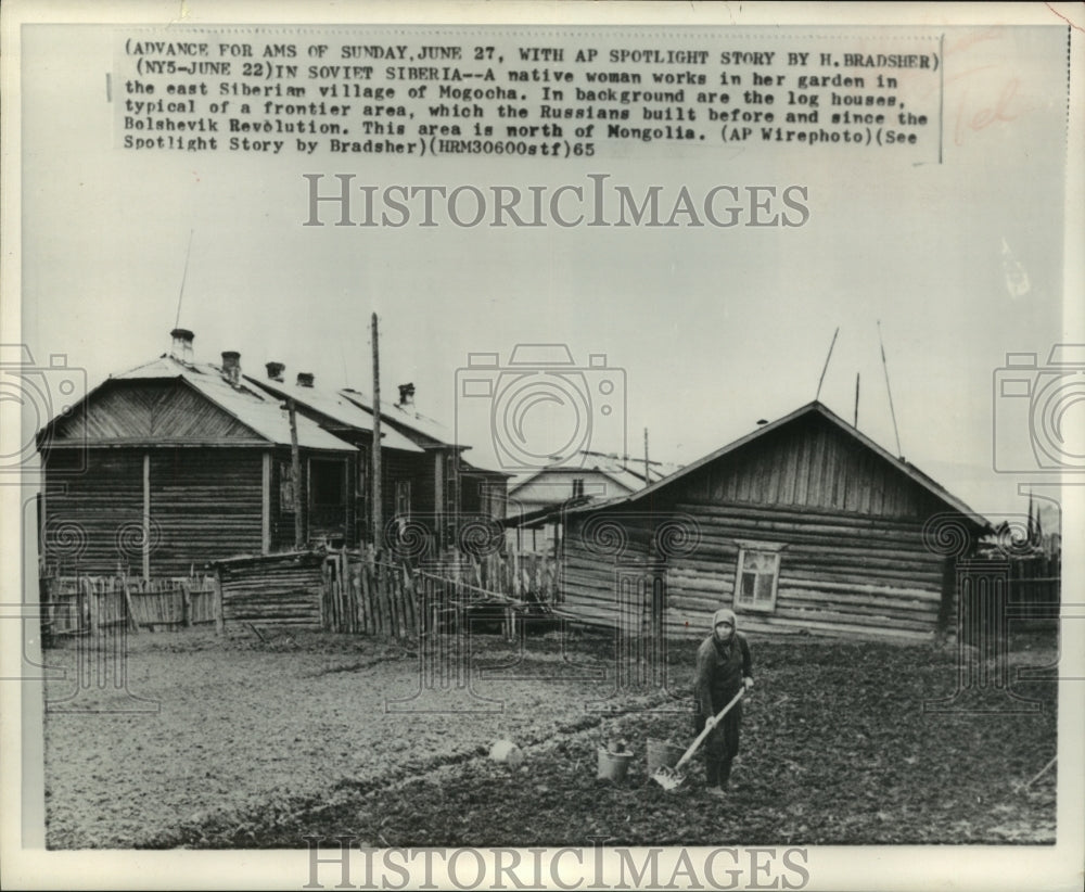 1965 Press Photo Native woman gardens in the frontier of Siberia, Russia - Historic Images