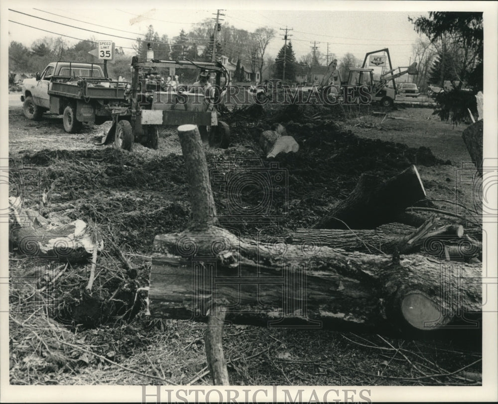 1989 Press Photo Workers remove trees on Highway 57 near Thiensville, Wisconsin - Historic Images