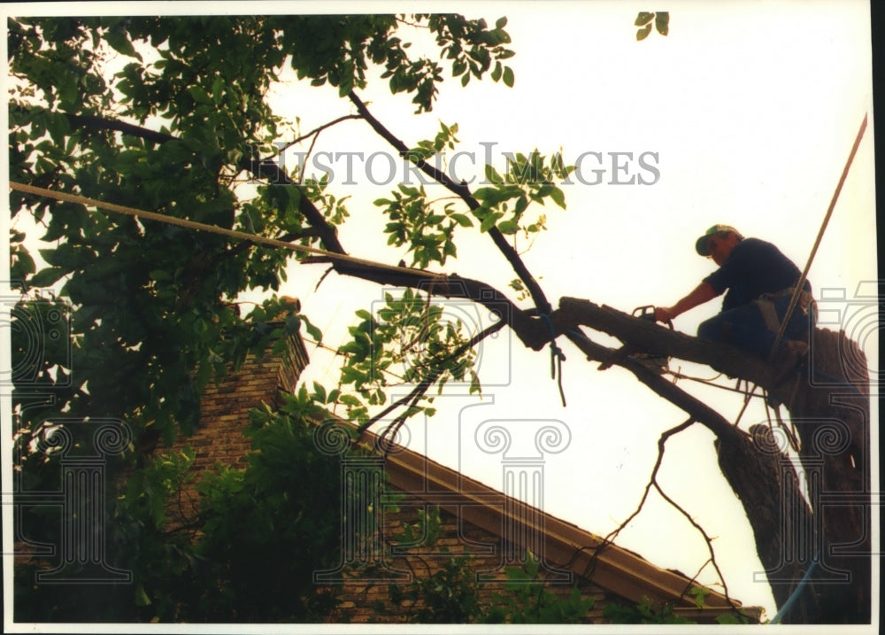 1993, Greg Wamser cuts up hickory tree that blew down in Waukesha - Historic Images