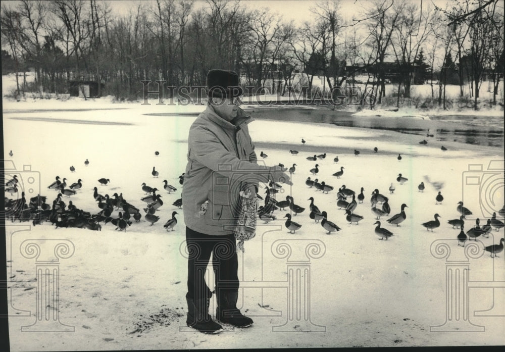 1985 Press Photo Donald Miller feeds ducks at Village Park, Thiensville, Wis. - Historic Images