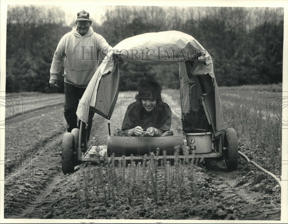 1992 Press Photo Wally Chodak and Rona LaPoint plant trees at Chodak&#39;s Nursery - Historic Images