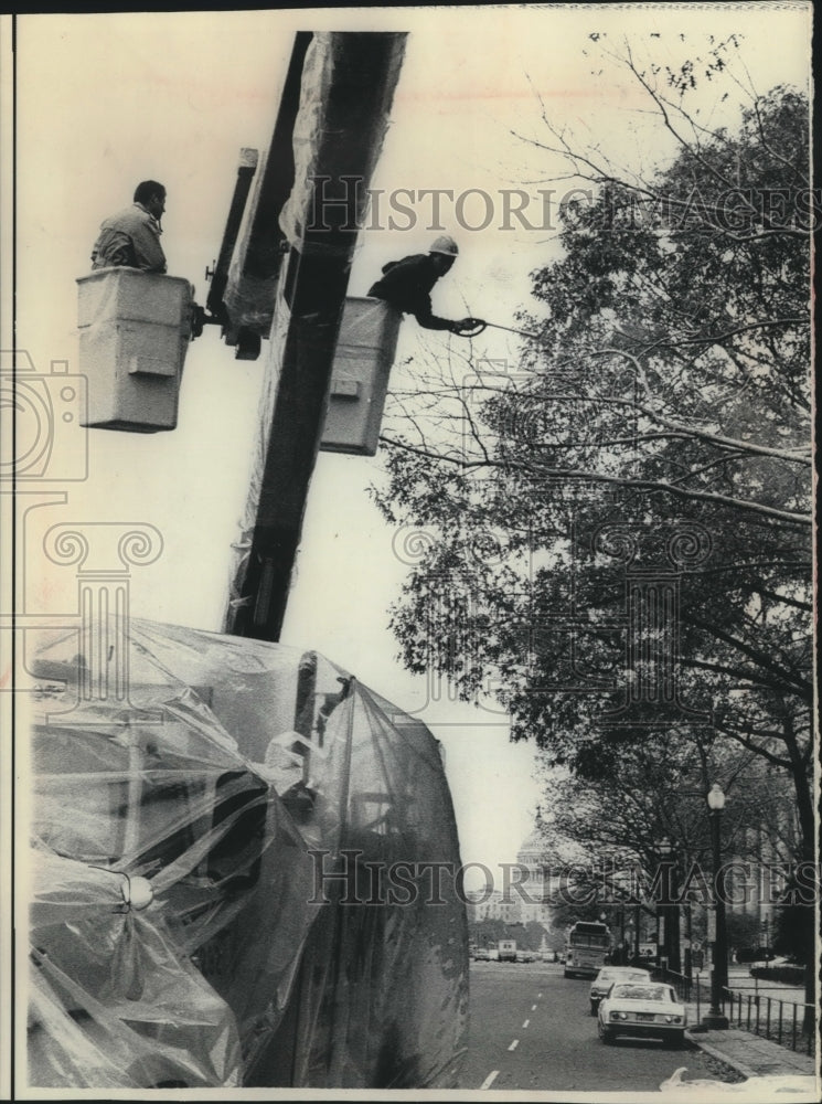 1968 Press Photo Trees sprayed to deter birds during inauguration, Washington - Historic Images