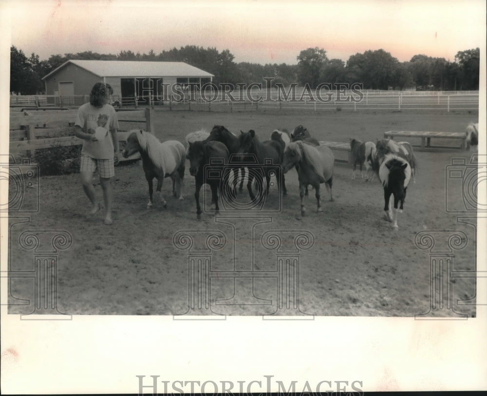 1992 Press Photo Groom Kim Mueller watches herd of miniature horses at MH Ranch - Historic Images
