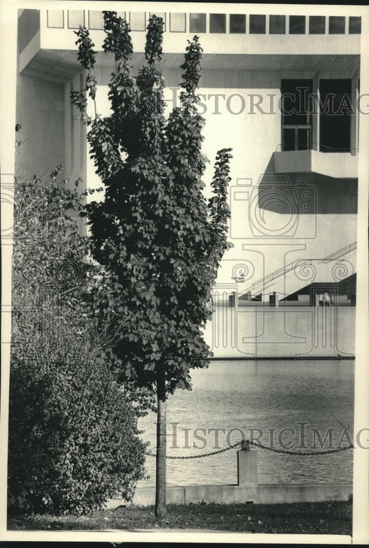 1987, Norway columnar maples frame Milwaukee's Performing Arts Center - Historic Images