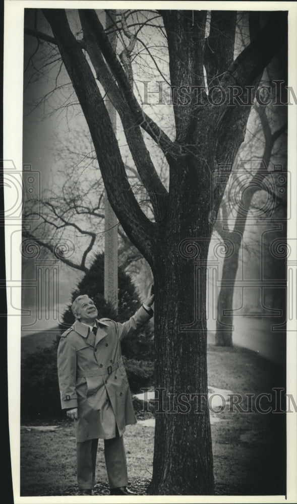 1991 Robert Skiera with a Sapporo Autumn Gold elm tree, Milwaukee - Historic Images