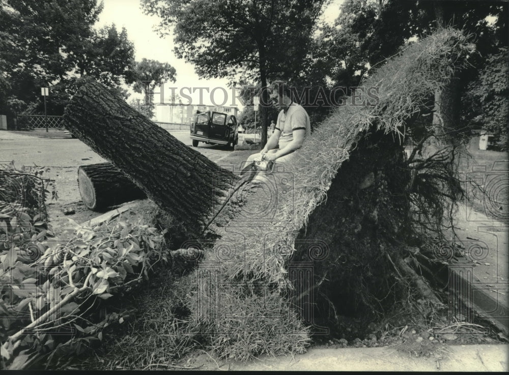 1983, Ron Blank sawing fallen tree after storm, Oconomowoc, Wisconsin - Historic Images
