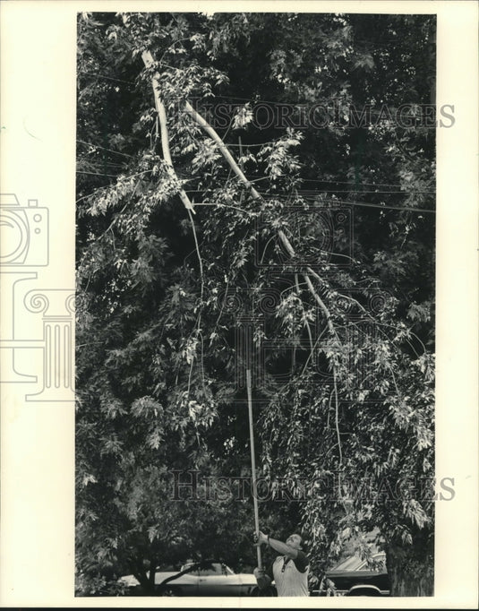 1984 WI Electric Power Co employee cuts away branches, Waukesha - Historic Images